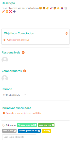 Painel lateral com informações gerais do objetivo