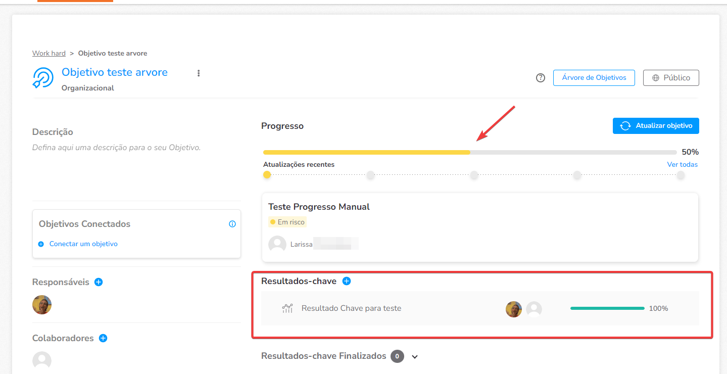 Objetivo com progresso definido manualmente