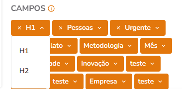 Card do projeto exibindo valor do campo